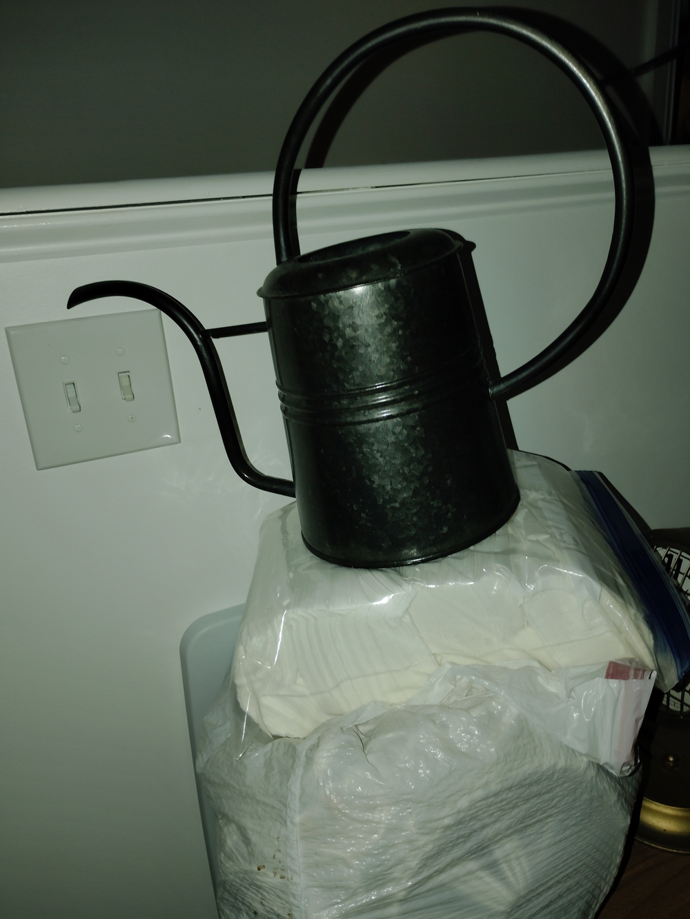 Black Metal Watering Can - Decorative Indoor Planter